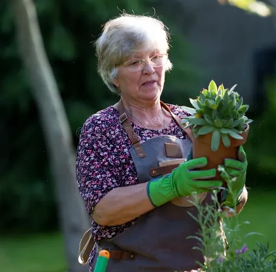 mulher-idosa-cuidando-de-plantas-mulheres-sêniores-cerâmica-e-que-trabalham-no-jardim-na-primavera-152421660